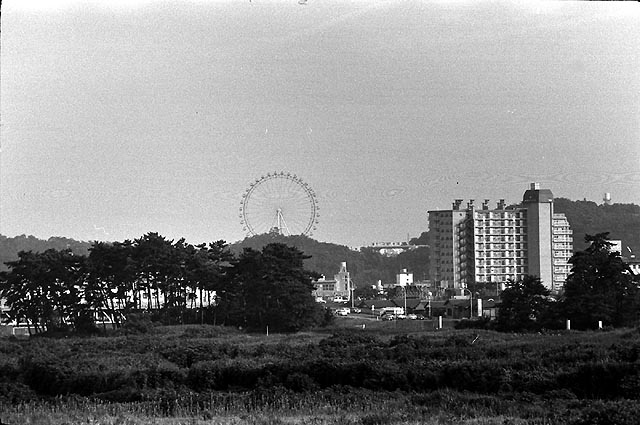 Tamagawa